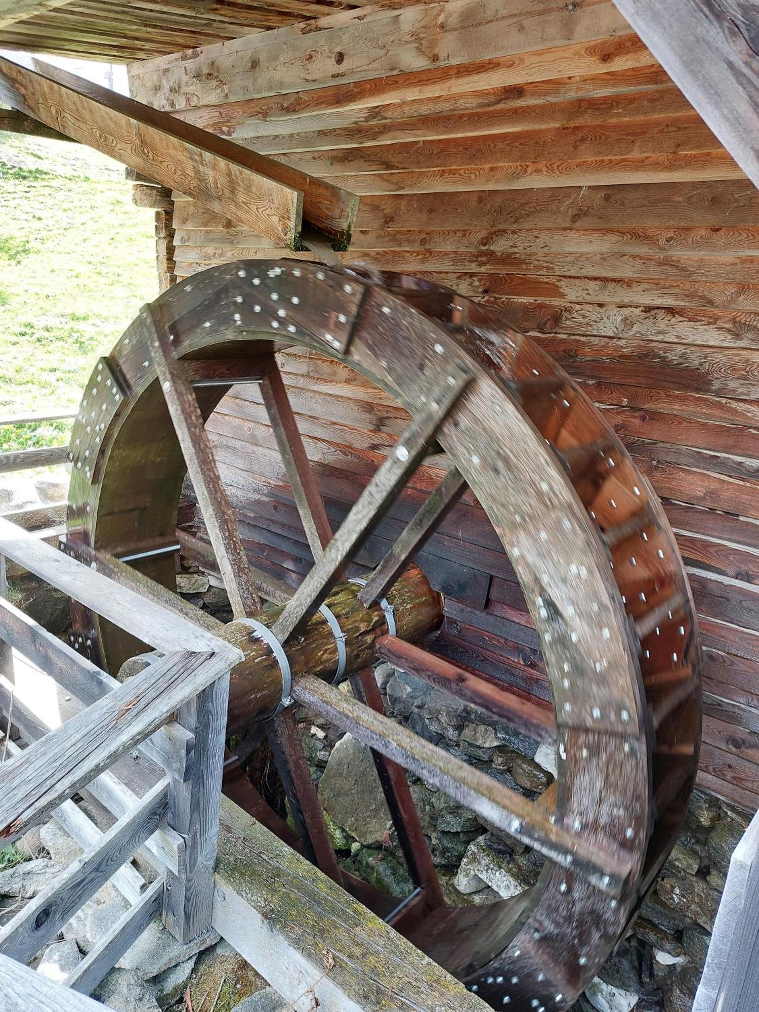 Blosegghof Bergchalets Waldblick Racines Zewnętrze zdjęcie