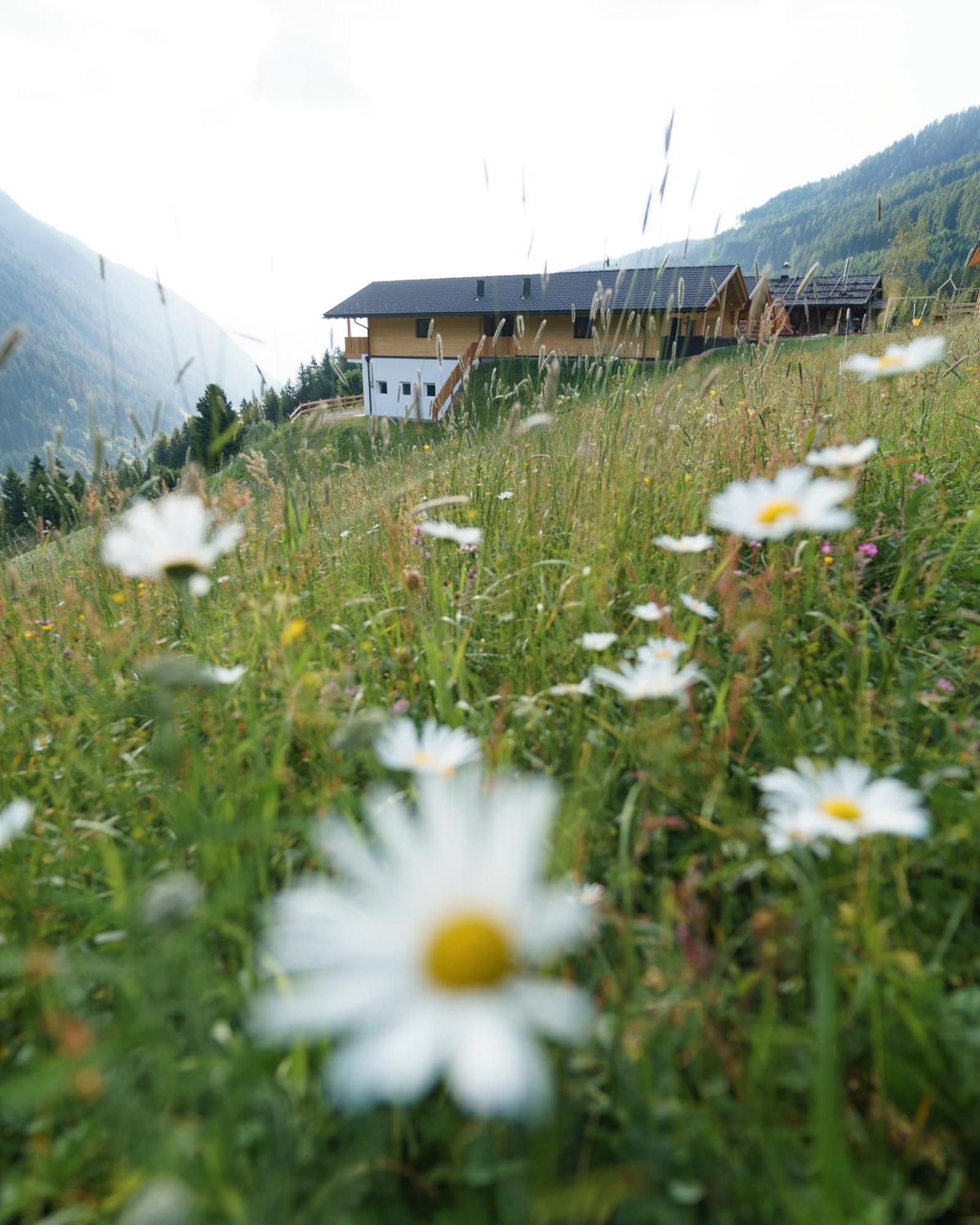 Blosegghof Bergchalets Waldblick Racines Zewnętrze zdjęcie